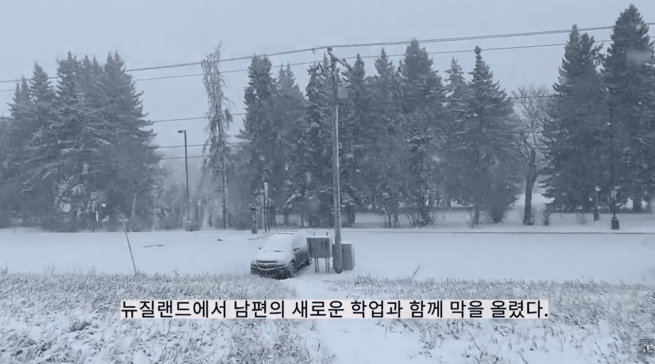 “앞으로 뭐 먹고 살지?” 가난한 이민자이기에 다시 공부를 시작했다 - 뉴질랜드 전공 선택방법 5가지